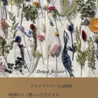 作品ドライフラワー全60種類〜　1種類から選べる　いろんな花材を少しづつ調達したい！