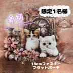 作品🐈‍⬛🐾໊  【カシス&ロキシー】18cmファスナーポーチ アッシュデザイン　イジェヒョン ハンドメイド  猫