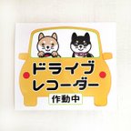 作品柴犬ステッカー ドライブレコーダー作動中