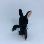 作品<身長約5.5センチ>ハンドメイドのbabyコウモリさん　（ブルーリボン）