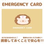 作品ハリネズミのEMERGENCY CARD 1枚(緊急連絡先) 5.5cm×9cm