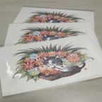 作品猫とお花のポストカード３枚入りセット　No.６