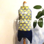 作品イタグレ服＊既製品/ホルターネックロンパ