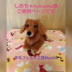 作品しおちゃんmama様のご専用ページです