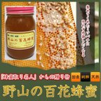 作品「野山の百花蜂蜜」集めてくれたニホンミツバチに思わず感謝したくなる