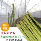 作品香川県産　出荷当日の今朝採れ　さぬきのめざめ　プレミアム　アスパラガス