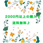 作品２０００円以上の購入で送料無料✨