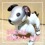 作品【aiboちゃん用】お名前入り☆ほねほねイヤークリップ