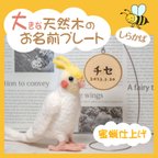 作品インコちゃんの✩.*˚大きな天然木のお名前プレート　蜜蝋仕上げ