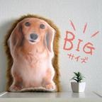 作品ビッグサイズ　犬　猫　ペット　動物　ダックス　クッション　ぬいぐるみ　インテリア　メモリアル　プレゼント　オーダーメイド　画像　写真　フサフサ　ビッグn