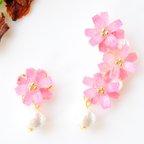 作品✿ 秋空と秋桜のイヤーカフ&イヤリング/ピアス ✿  (ピンク)