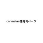 作品cnnmekm様専用ページ