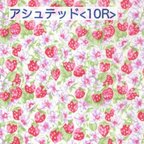 作品【生地在庫確認用】リバティ アシュテッド