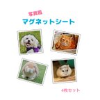 作品写真風マグネットシート4枚入り/ 新商品！