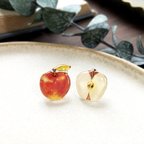 作品Apple Earring｜りんごイヤリング・ピアス〔秋のフルーツ〕