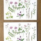 作品春の花のポストカード＊2枚セット