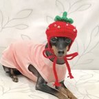 作品小型犬用   いちご🍓ちゃん帽子 （つぶつぶビーズタイプ）Mサイズ