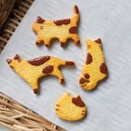 作品ぶち猫クッキーのマグネット or ブローチ＊4種＊【受注販売】