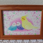 作品『オカメインコとセキセイインコ』原画