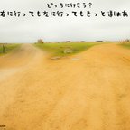 作品⑬【2枚組】サンティアゴ巡礼で集めた写真と拾った言葉