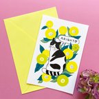 作品ARIGATOカード 封筒set -お花とハチワレ猫- 