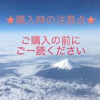 作品ご購入の前の注意事項です