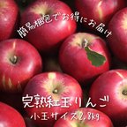 作品９月下旬発送【完熟紅玉りんご】