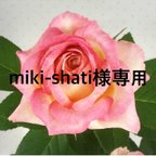 作品miki-shati様専用