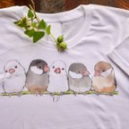 作品ふんわり文鳥 Tシャツ