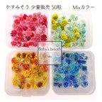 作品【 かすみそう 小分け 50粒 】 ドライフラワー 少量 ヘッドのみ 花材 レジン 材料 封入 素材 花素材 パーツ