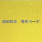 作品オーダー品　追加料金④