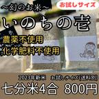 作品【お試しサイズ】【七分づき】新米 米 お米 いのちの壱《無農薬 農薬不使用》いのちのいち イノチノイチ お試し 4合 化学肥料不使用 龍の雫 幻のお米 奇跡のお米 ワンコイン