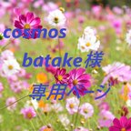 作品cosmosbatake様専用ページ