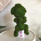 作品moss ×  TOY POO