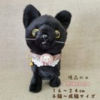 作品【感謝価格】猫の首輪🧸️🫧