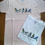 作品野鳥Tｼｬﾂ♪小鳥♪送料込み♪