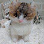作品（mokko-moko様専用ページ）最愛の三毛猫ちゃん🐱🌹