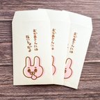 作品【送料無料】ひみつのうさちゃんポチ袋【3枚組】