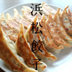 作品浜松餃子　入来の冷凍生餃子48個入り(24ヶ入×2袋)