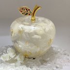 作品Pomme blanche〜ポムブランシュ〜