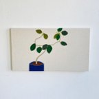 作品植物シリーズ ファブリックパネル  フランスゴムの木