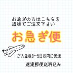 作品【オプション】お急ぎ便