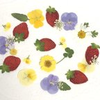 作品押し花＊いちご🍓とお花達　Ｂセット