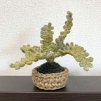 作品＊再販です＊　かぎ針編みのシダ植物＊01