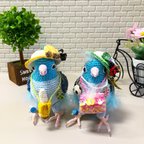 作品コトリサオリジナル　マメルリハ　あみぐるみ　編みぐるみ　レース編み　ハンドメイド　amigurumi ぬいぐるみ　編み物　人形　ドール　着せ替え　ポシェット　麦わら帽子　バナナ　てんとう虫　クローバー