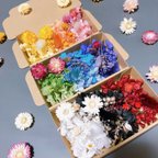作品カラフルブロックドライフラワー🌼花材詰め合わせ3箱セット