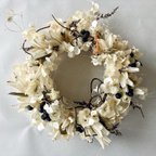 作品山芋の花殻のリース ✴︎ ホワイトリース