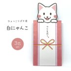 作品ひょっこりポチ袋【白にゃんこ】