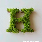 作品アルファベット オブジェ(モス)木製 アルファベット 数字『Ｈ』×１点