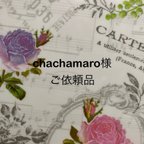 作品chachamaro様ご依頼品　カラフルドーナツ15種